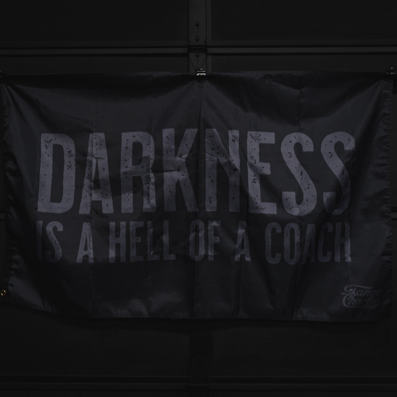 Darkness is a Hell of a Coach - Flag