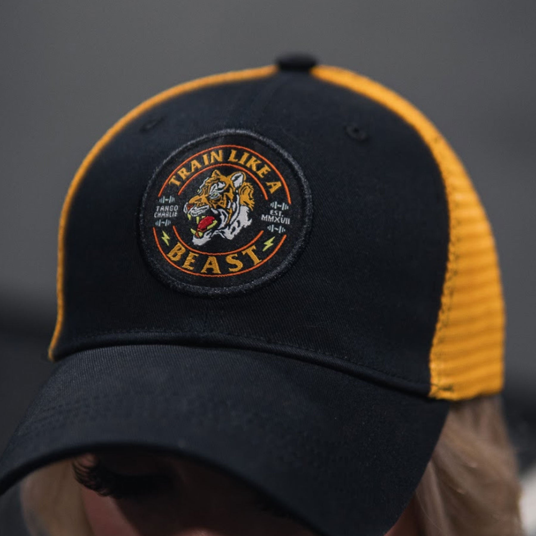 Train Like A Beast - Snapback Hat