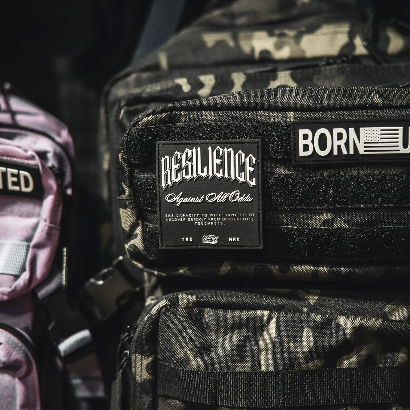 Resilience - Patch