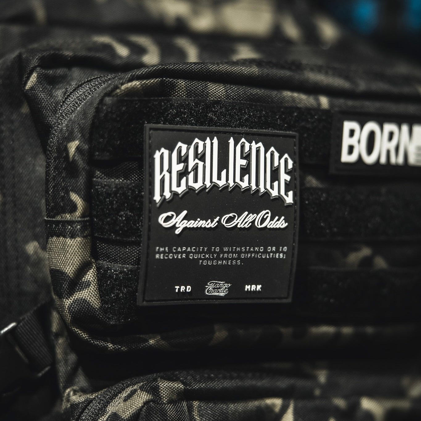 Resilience - Patch