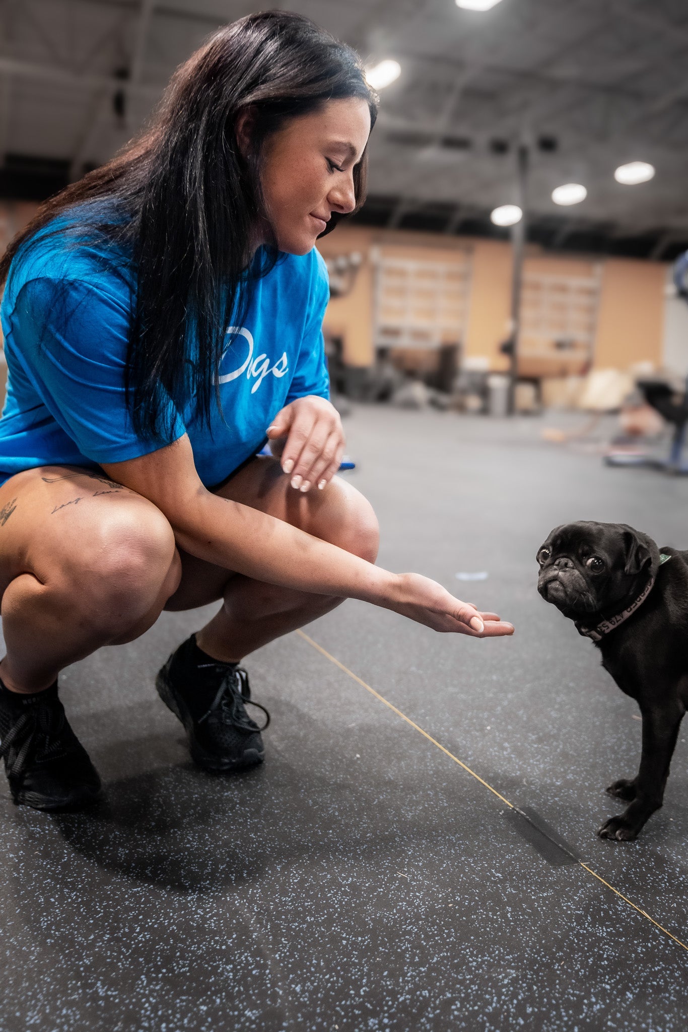 OnlyDogs - Tee