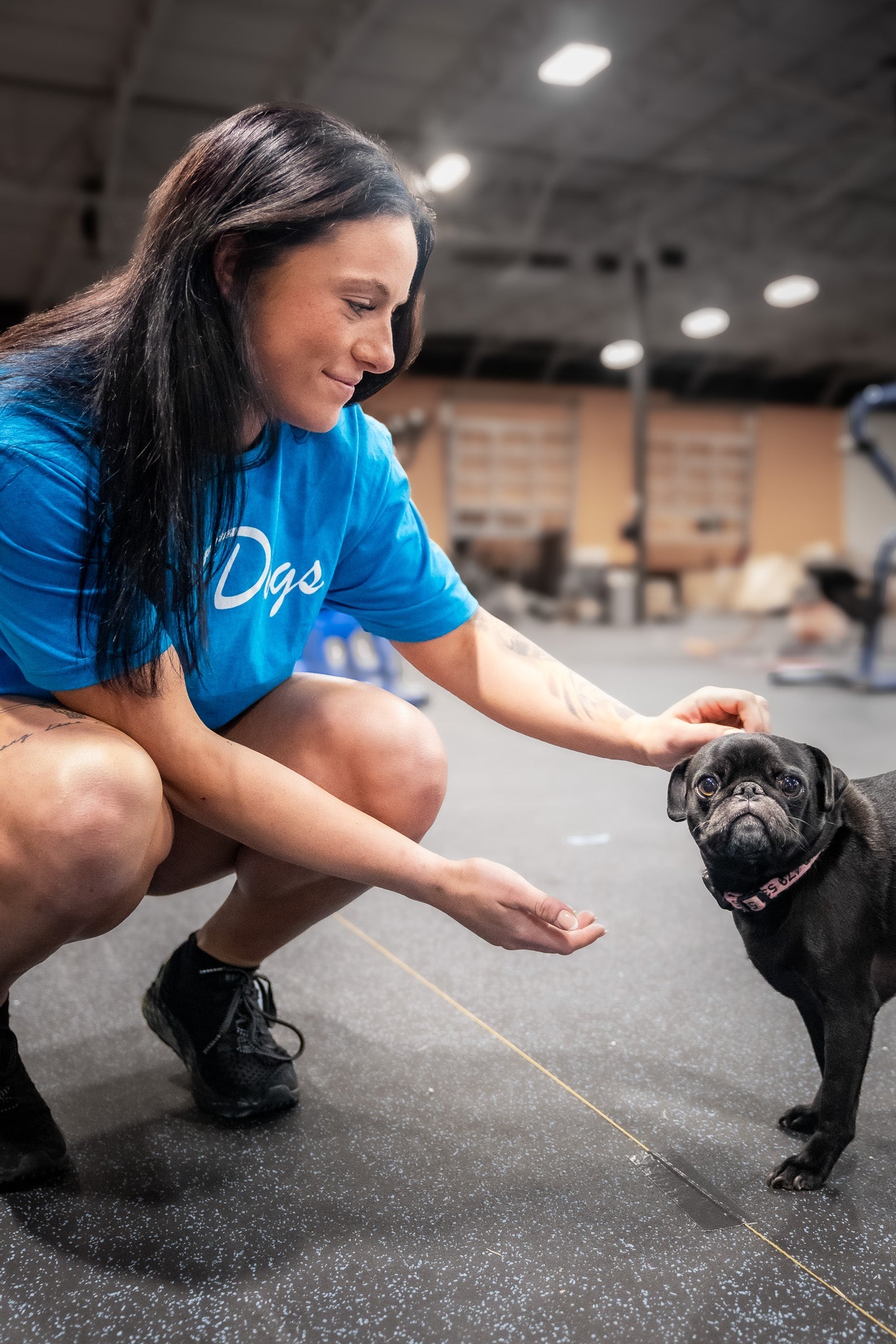 OnlyDogs - Tee