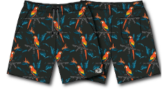 Men's Performance Training Shorts | 5.5"- Polly's Packing