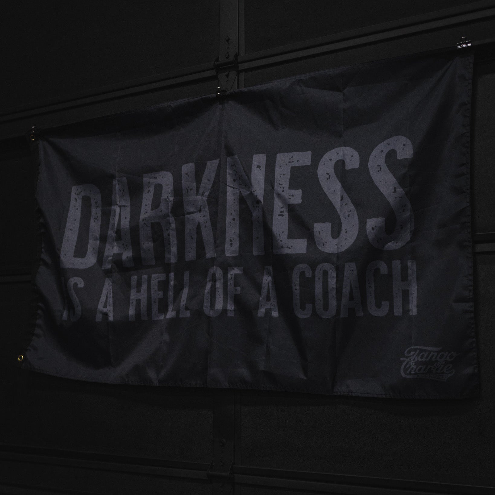 Darkness is a Hell of a Coach - Flag