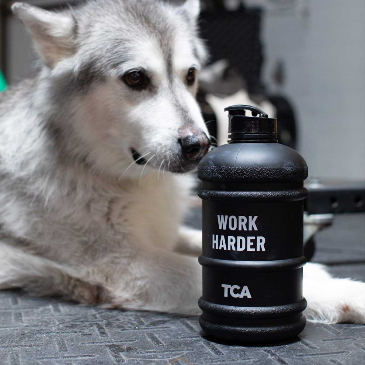 Work Harder - Water Jug